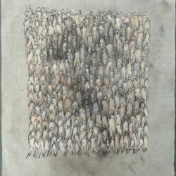 manuscrit vii